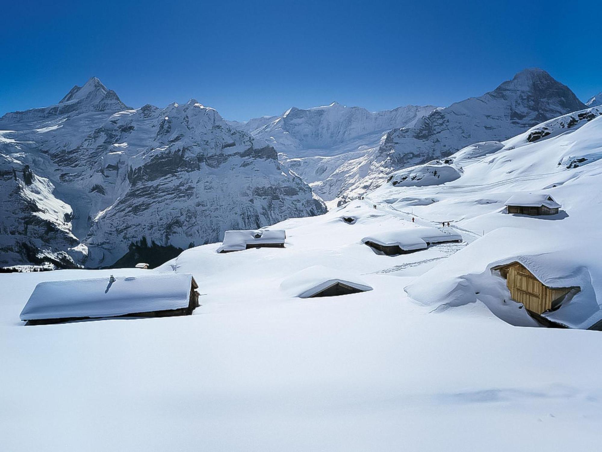 Apartment Chalet Auf Dem Vogelstein-2 By Interhome Grindelwald Exteriér fotografie