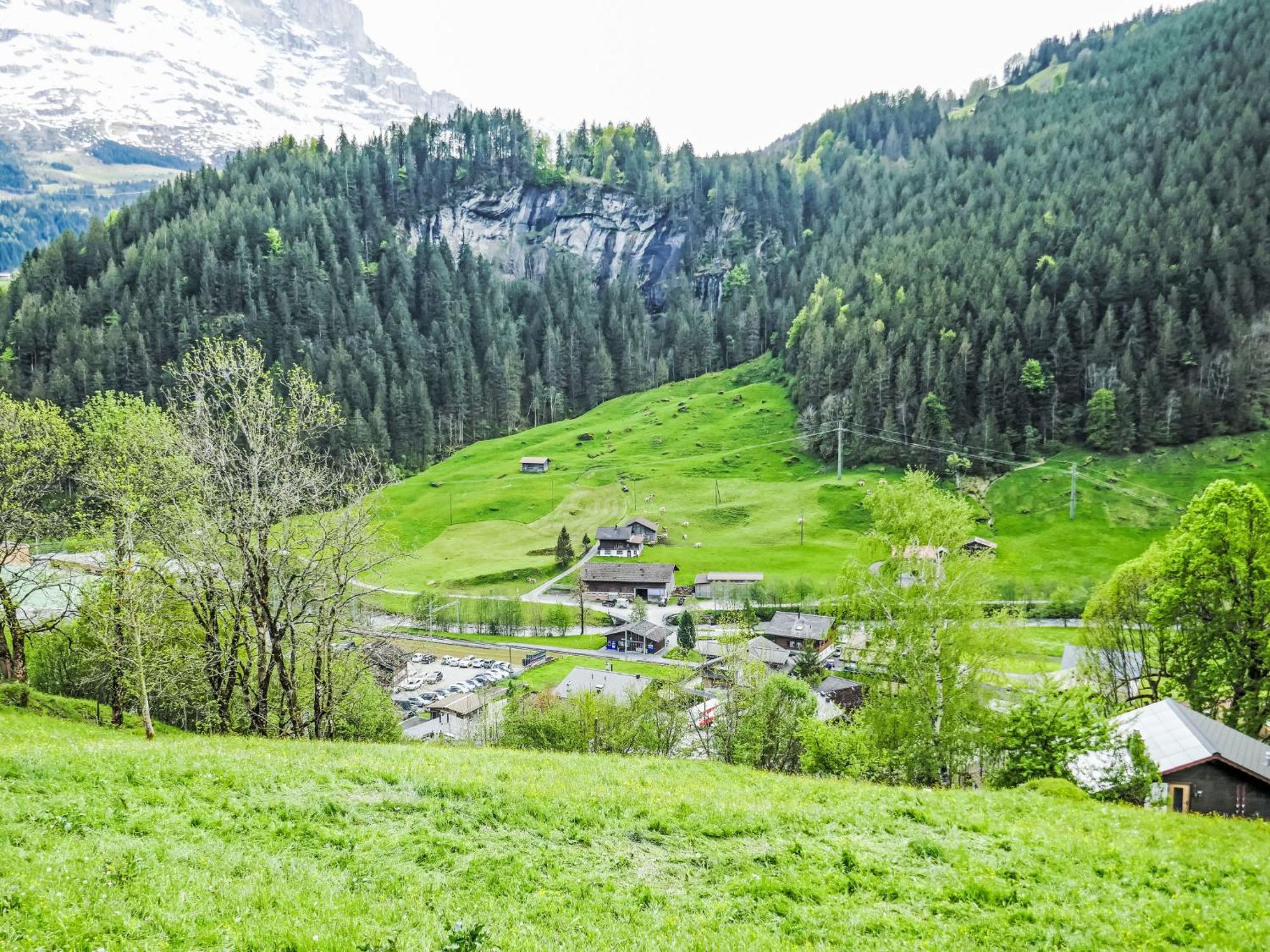 Apartment Chalet Auf Dem Vogelstein-2 By Interhome Grindelwald Exteriér fotografie